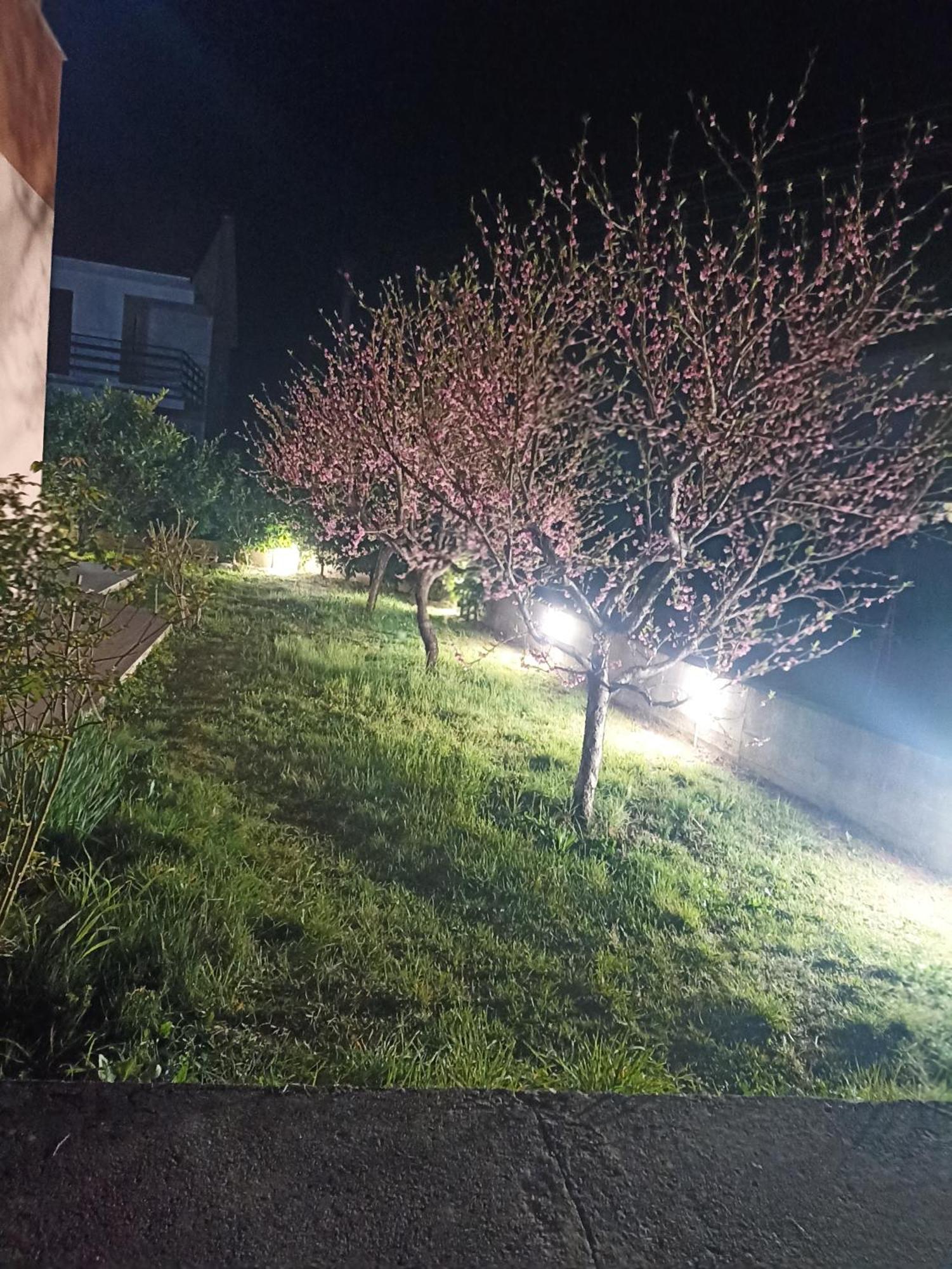 Apartmani Slado 트레빈예 외부 사진